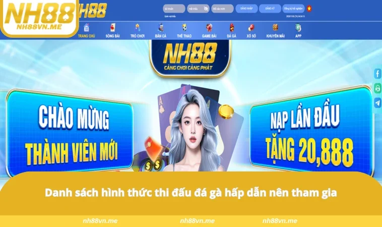 Danh sách hình thức thi đấu đá gà hấp dẫn nên tham gia