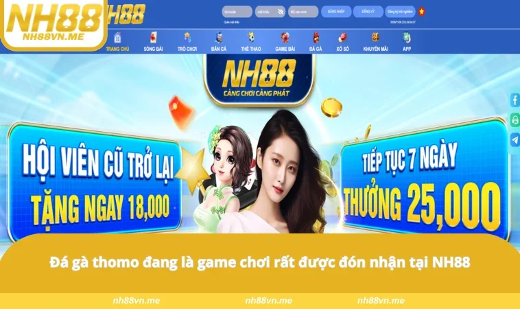 Đá gà thomo đang là game chơi rất được đón nhận tại NH88